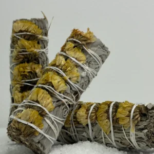 מרווה צ'אקרת מקלעת השמש -צהוב