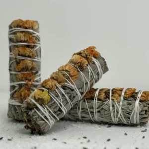 מרווה צ’אקרת המין- כתומה