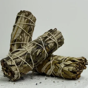 מרווה עשב קדוש