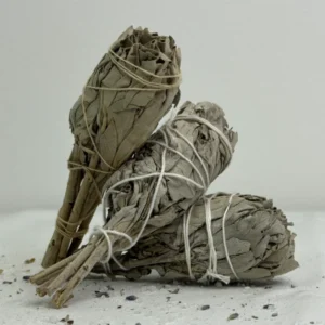 מרווה לבנה קשורה