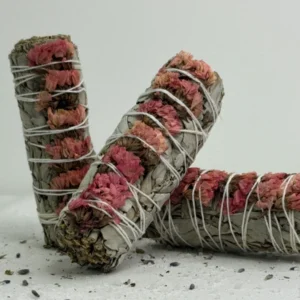 מרווה צ'אקרת הבסיס - וורודה