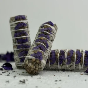 מרווה צ'אקרת הכתר - סגולה